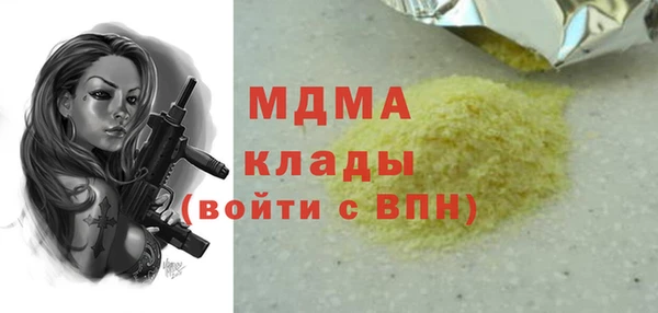 индика Арсеньев