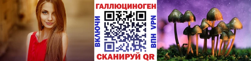 Галлюциногенные грибы Cubensis Любим